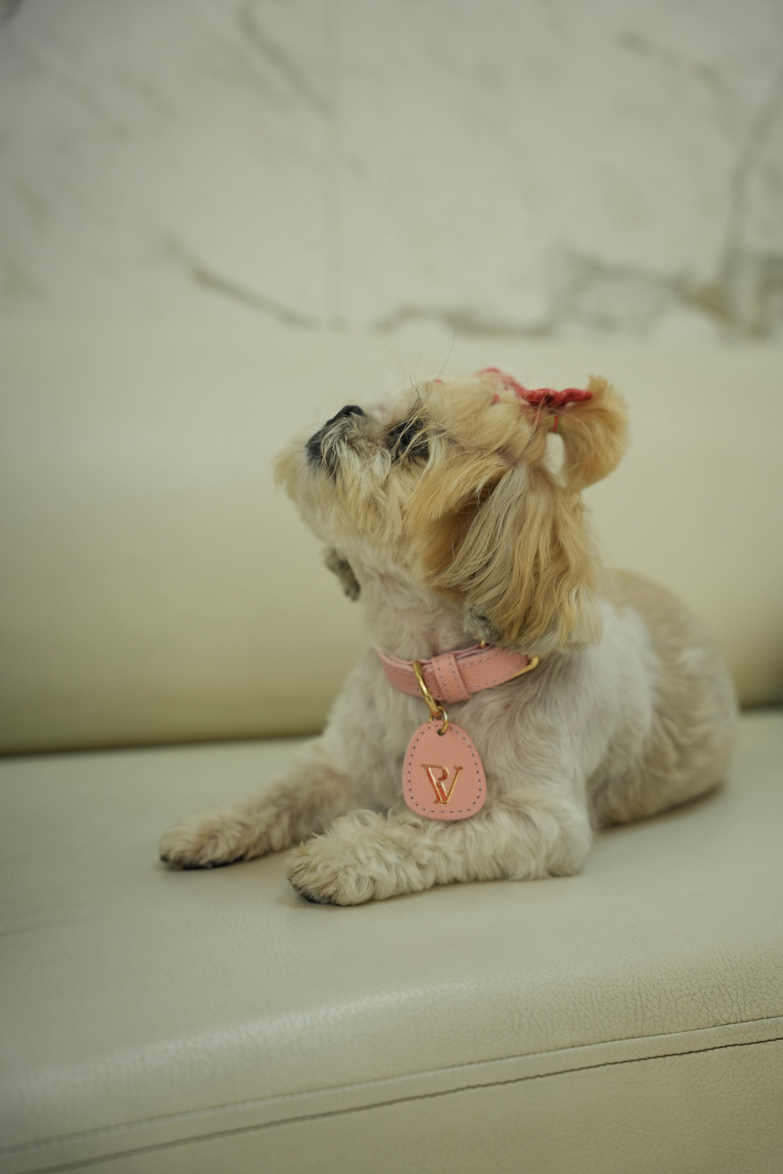 Correa en cuero rosa para perritos