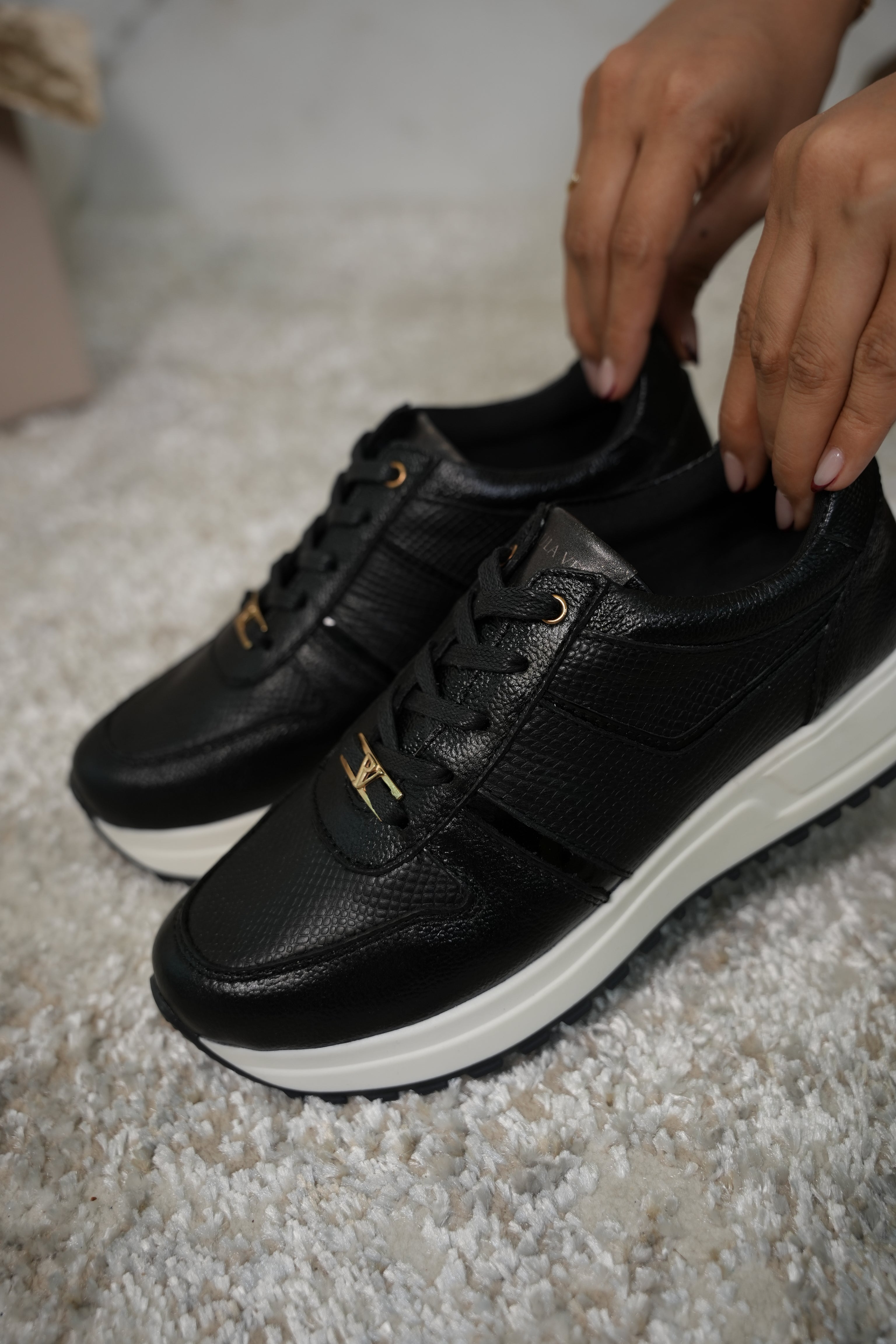 Coco negro danés nápoles