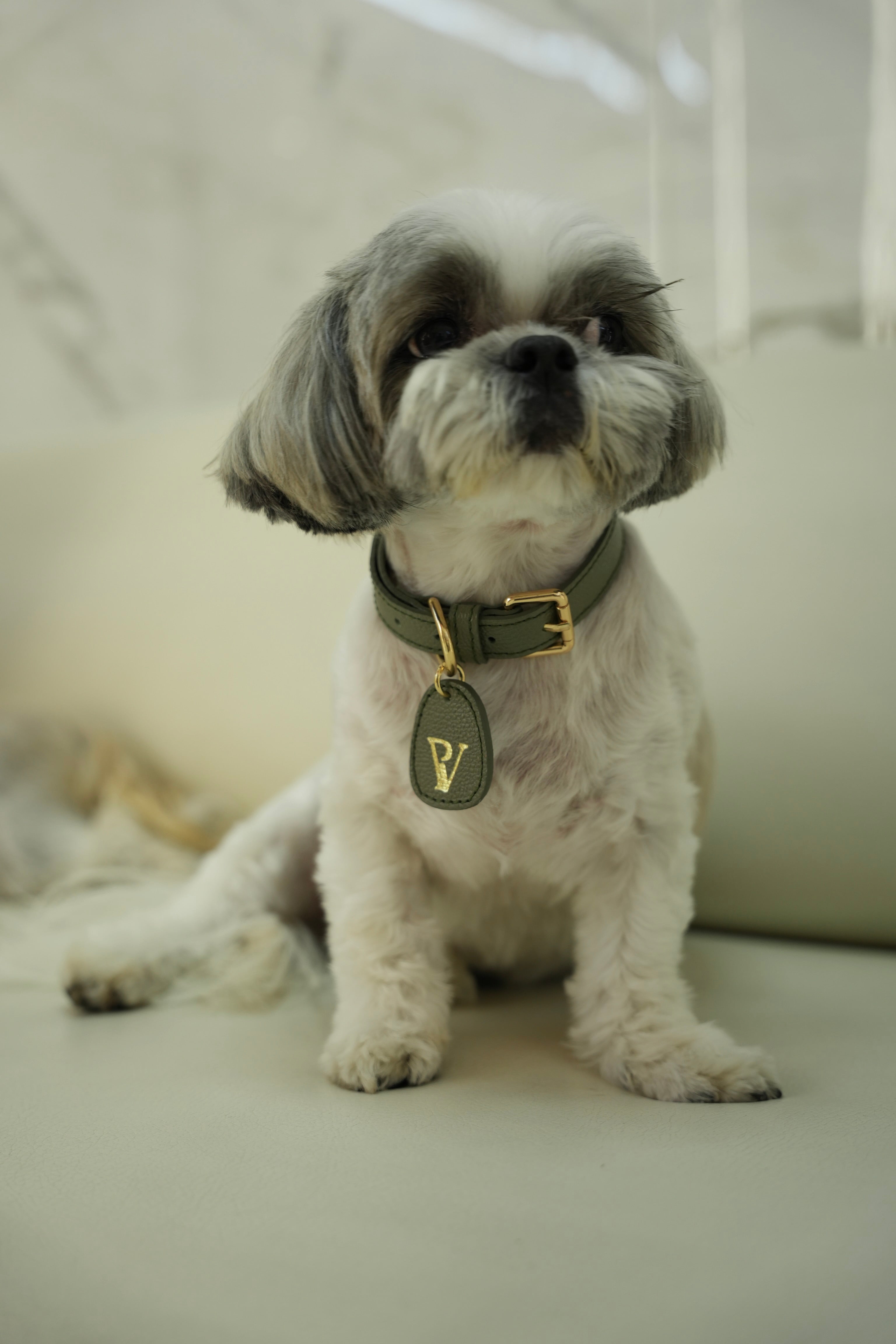 Correa en cuero verde oliva para perritos