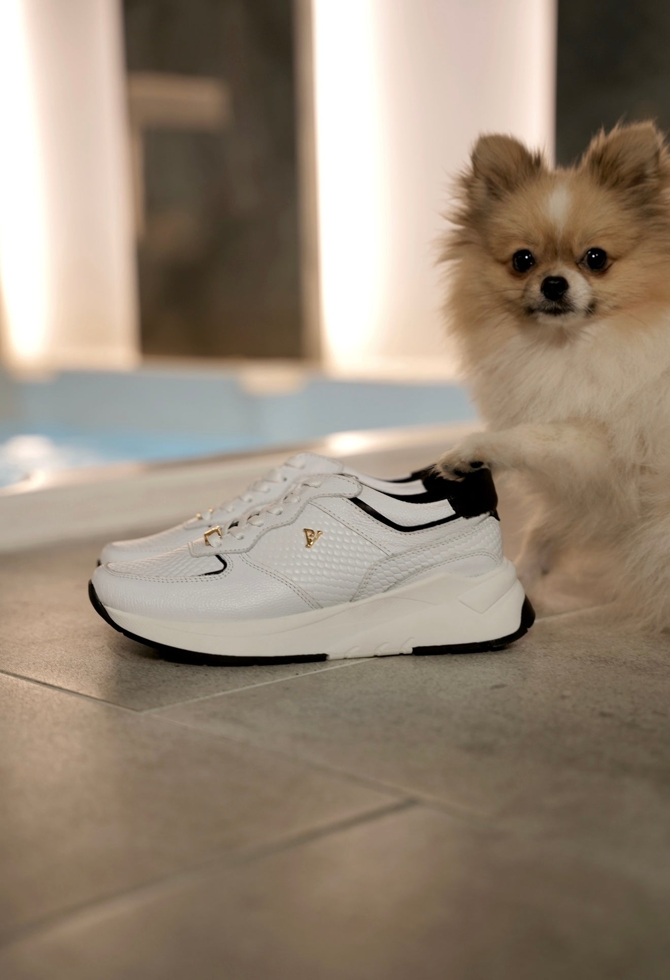 Tenis Milu blanco x negro en cuero