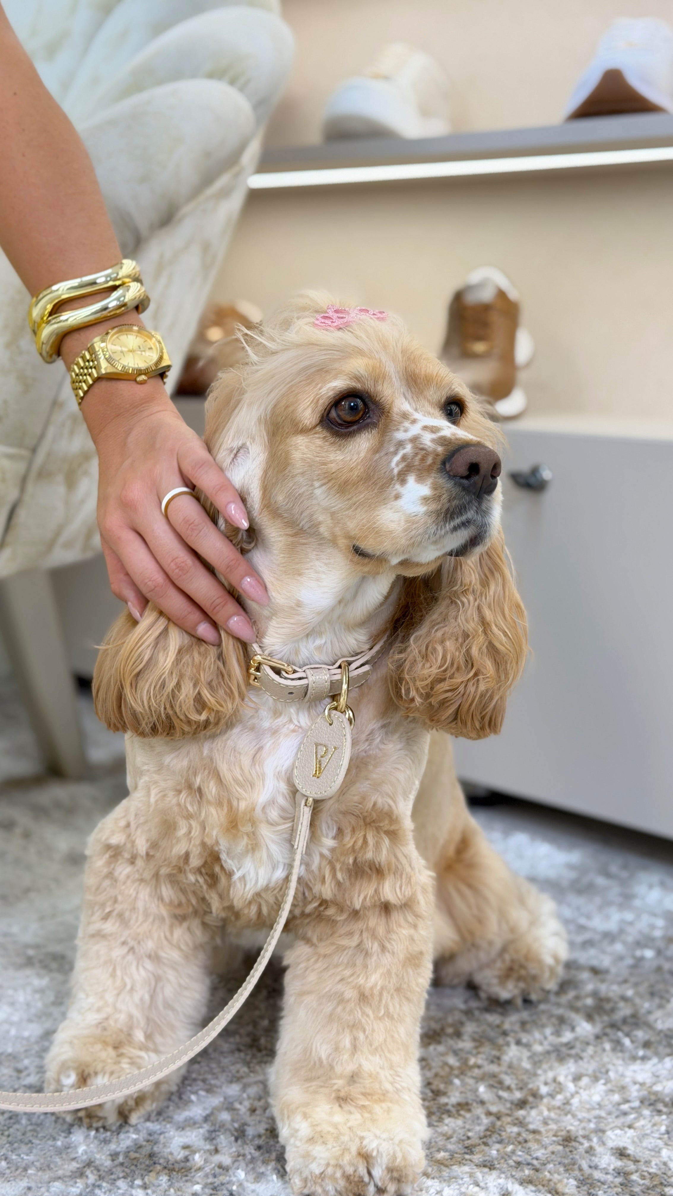 Correa en cuero arena para perritos