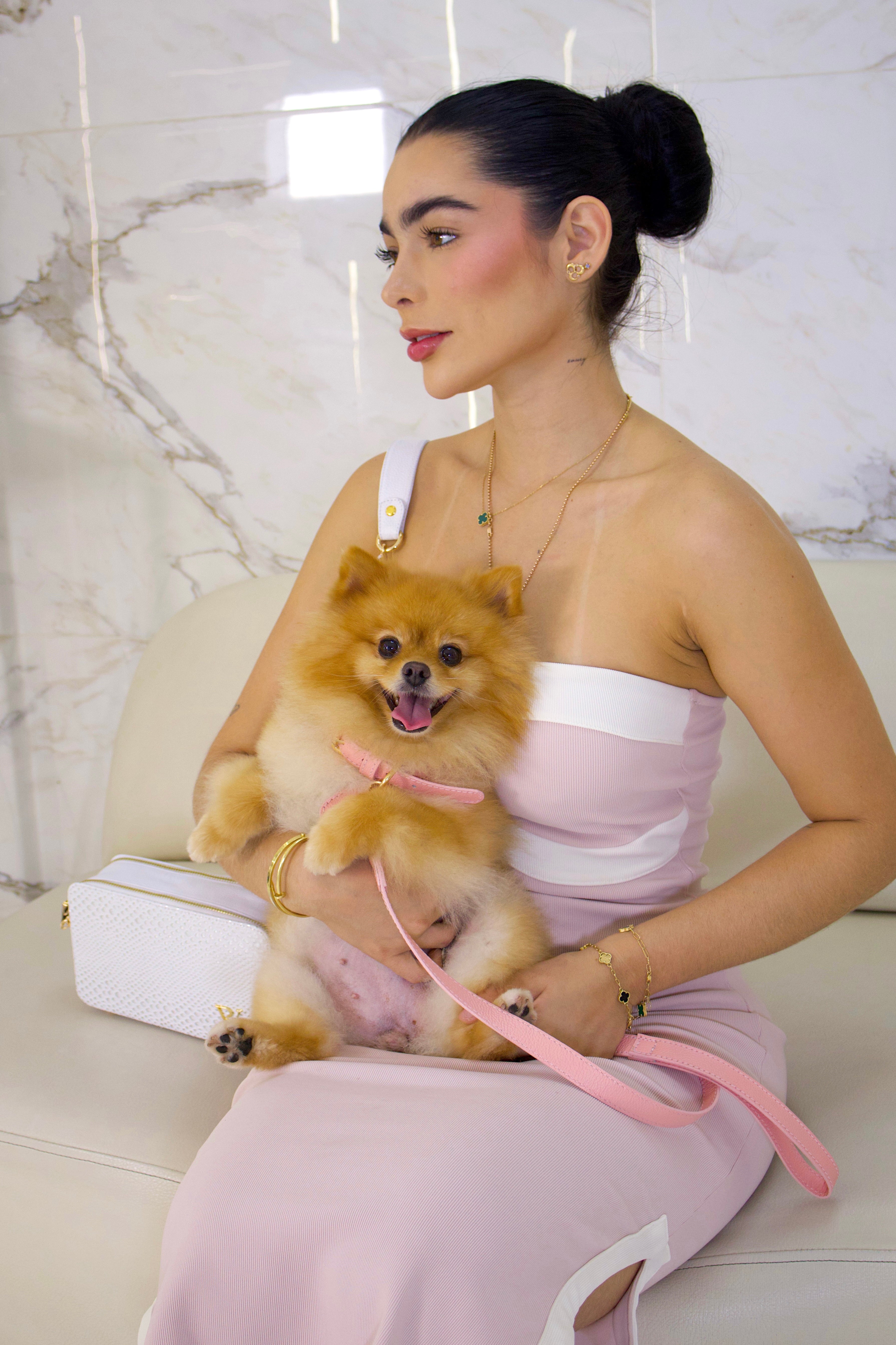 Correa en cuero rosa para perritos