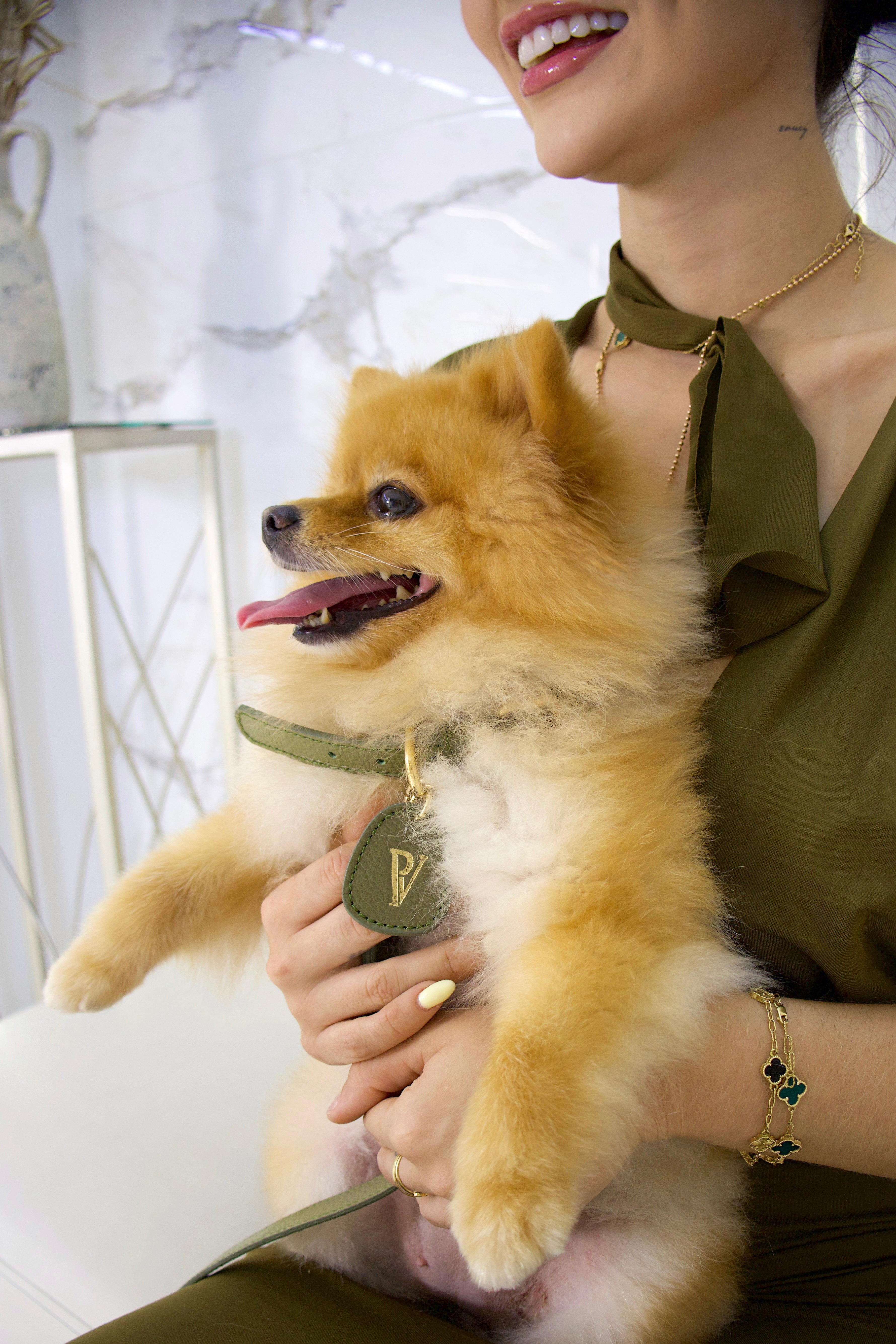 Correa en cuero verde oliva para perritos