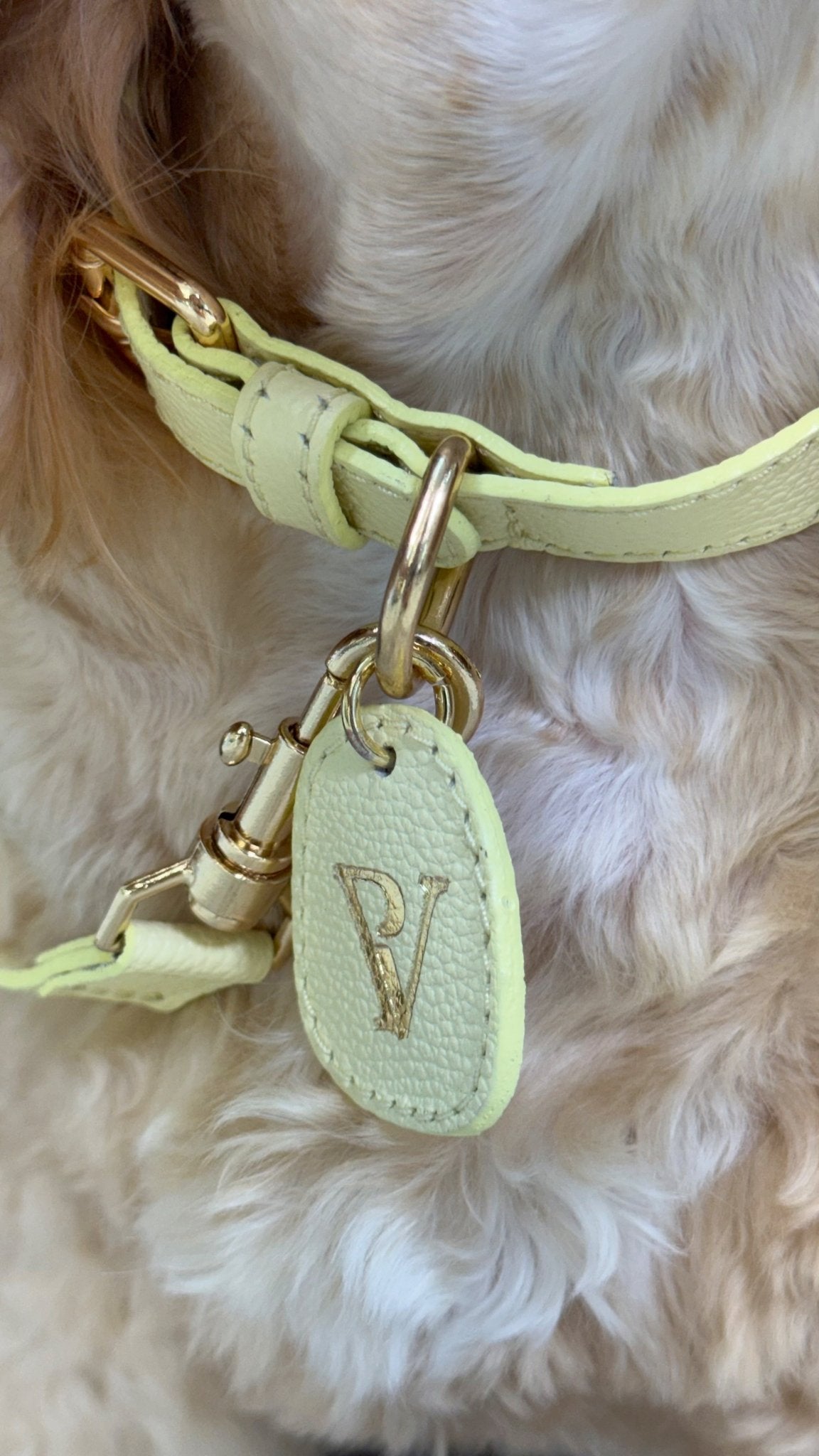Correa en cuero amarillo para perritos - PAULA VELEZ