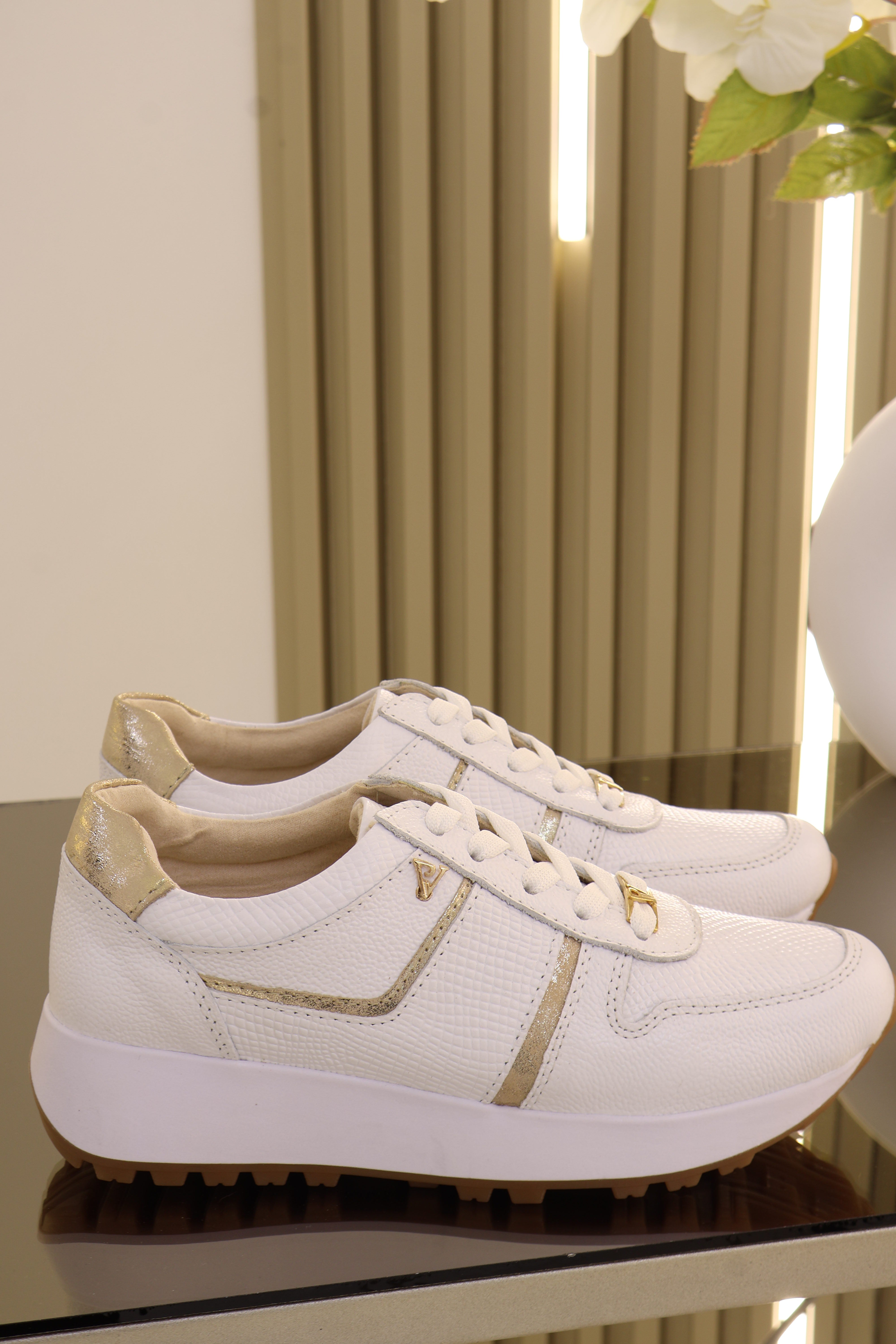 Tenis coco Blanco Champán