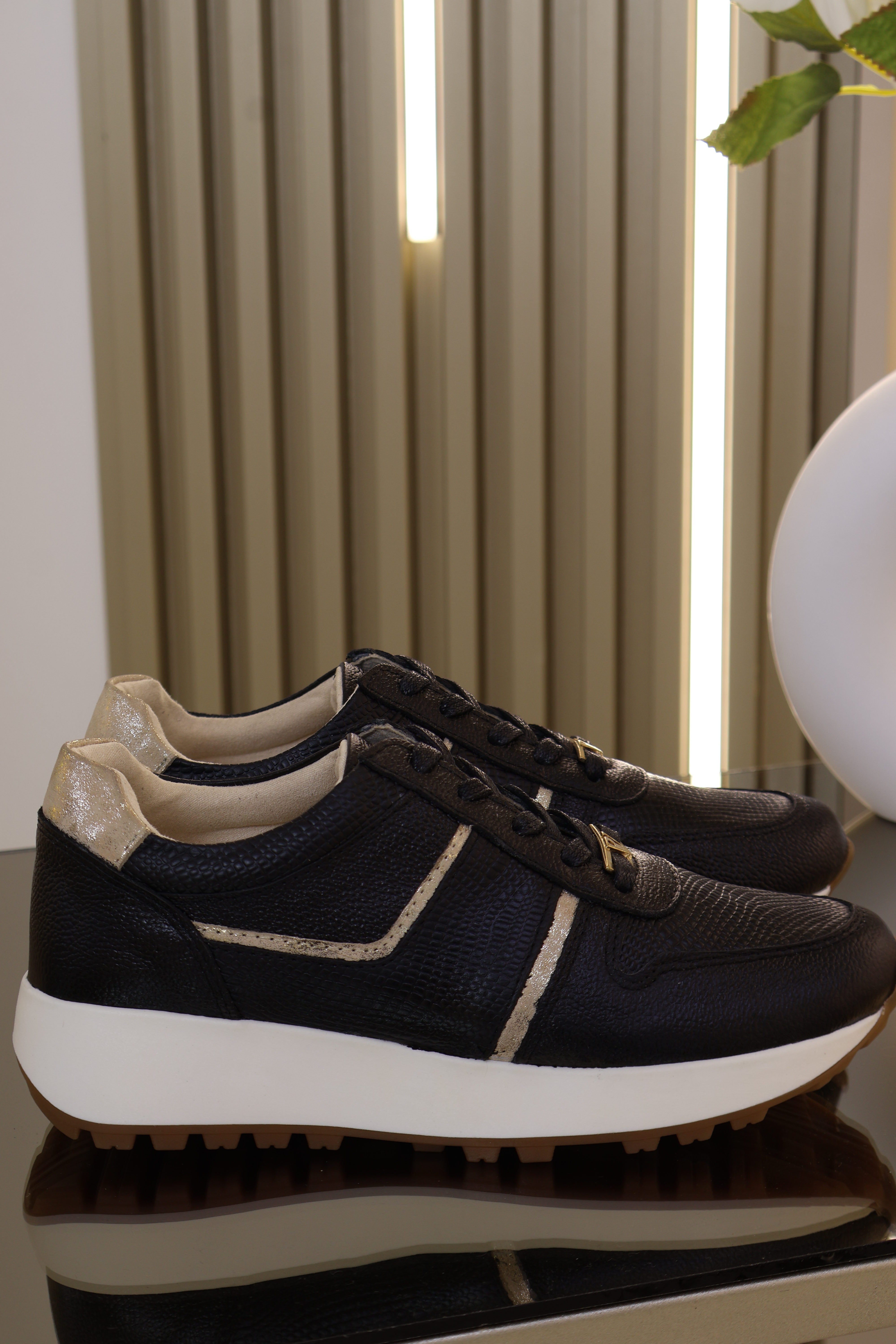 Tenis Coco Negro champan en cuero