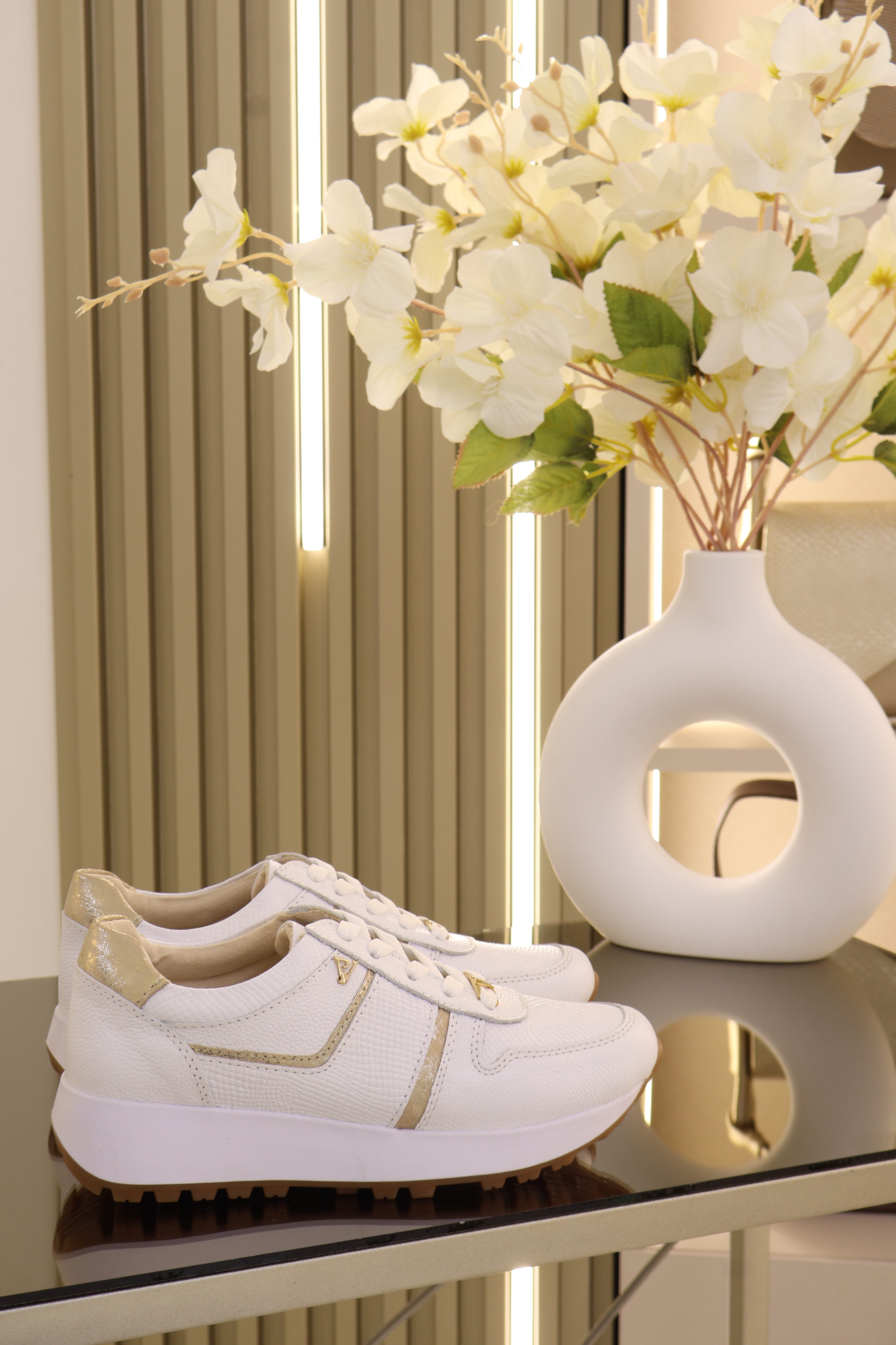 Tenis coco Blanco Champán