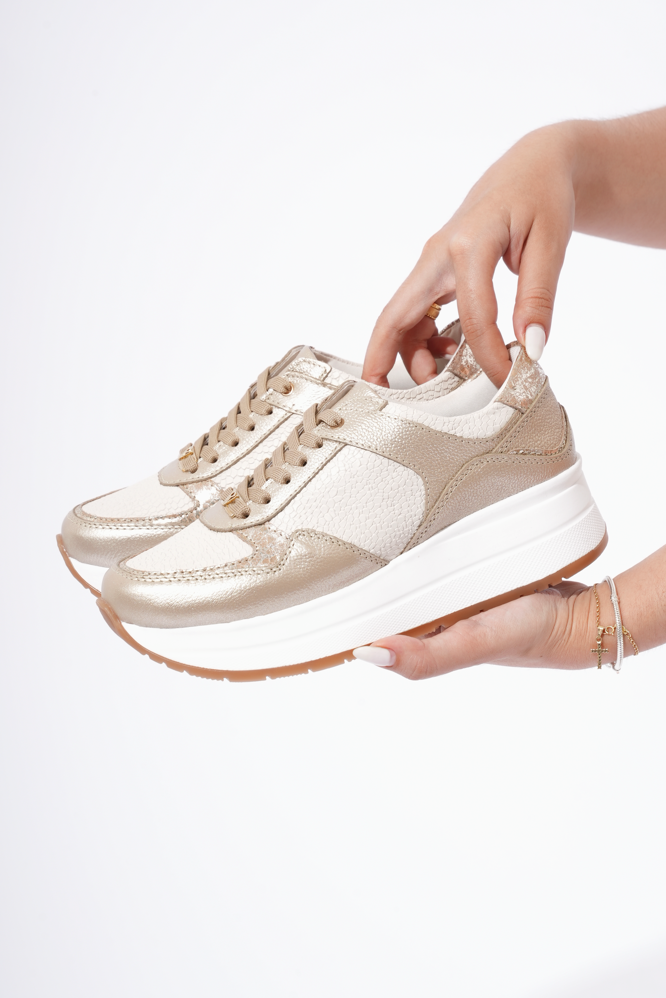 denver champan taipan arena oro mariland