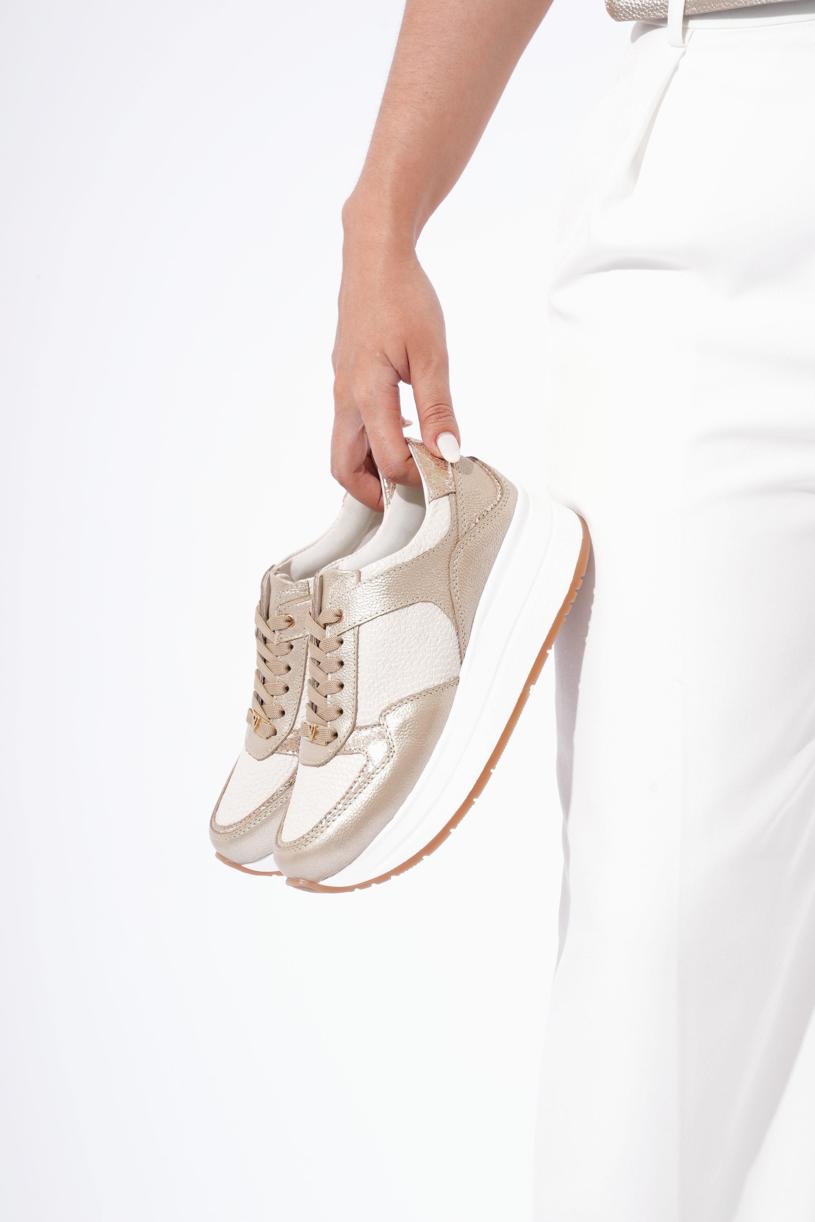 denver champan taipan arena oro mariland