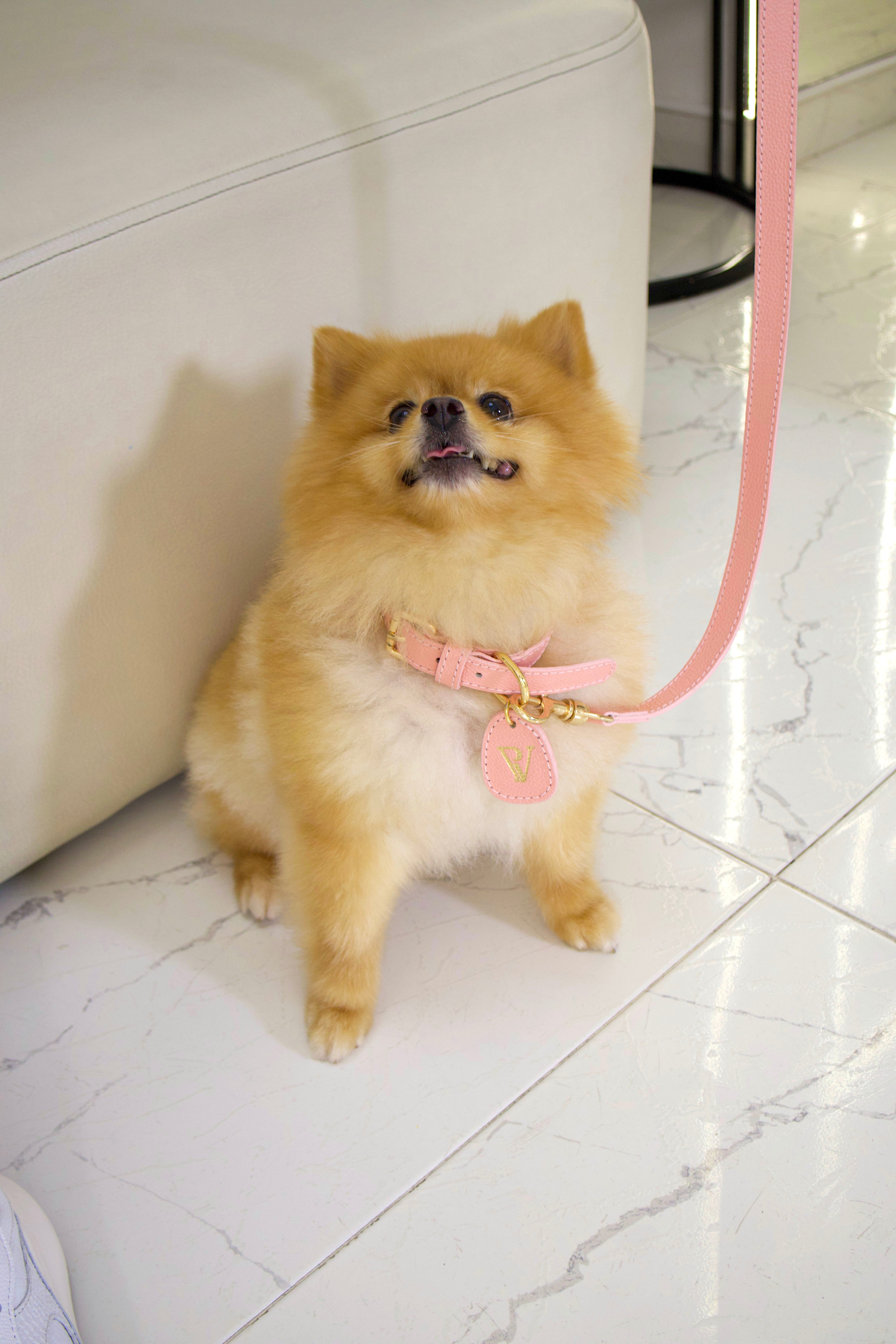 Correa en cuero  rosa para perritos