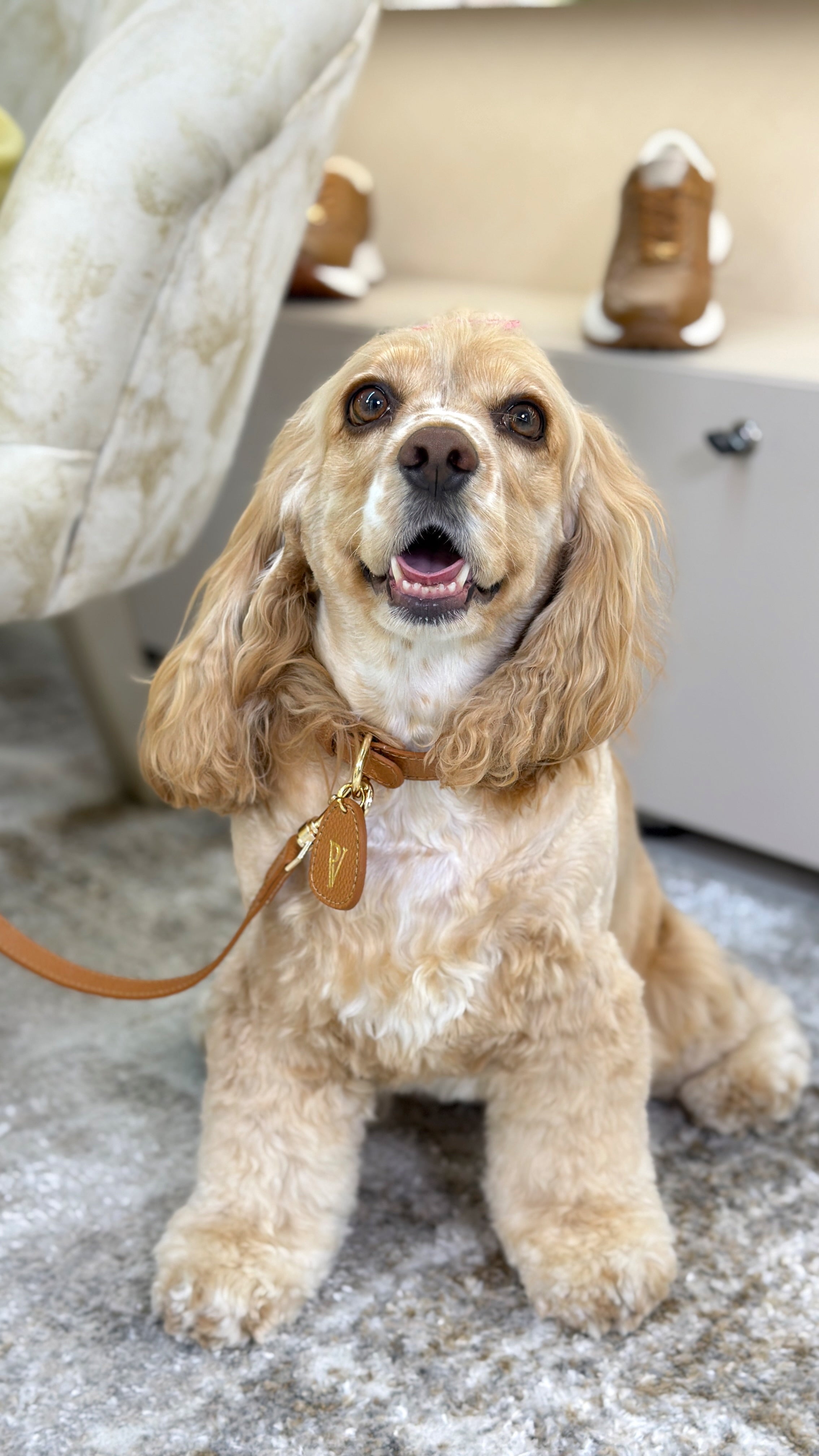 Correa en cuero miel para perritos