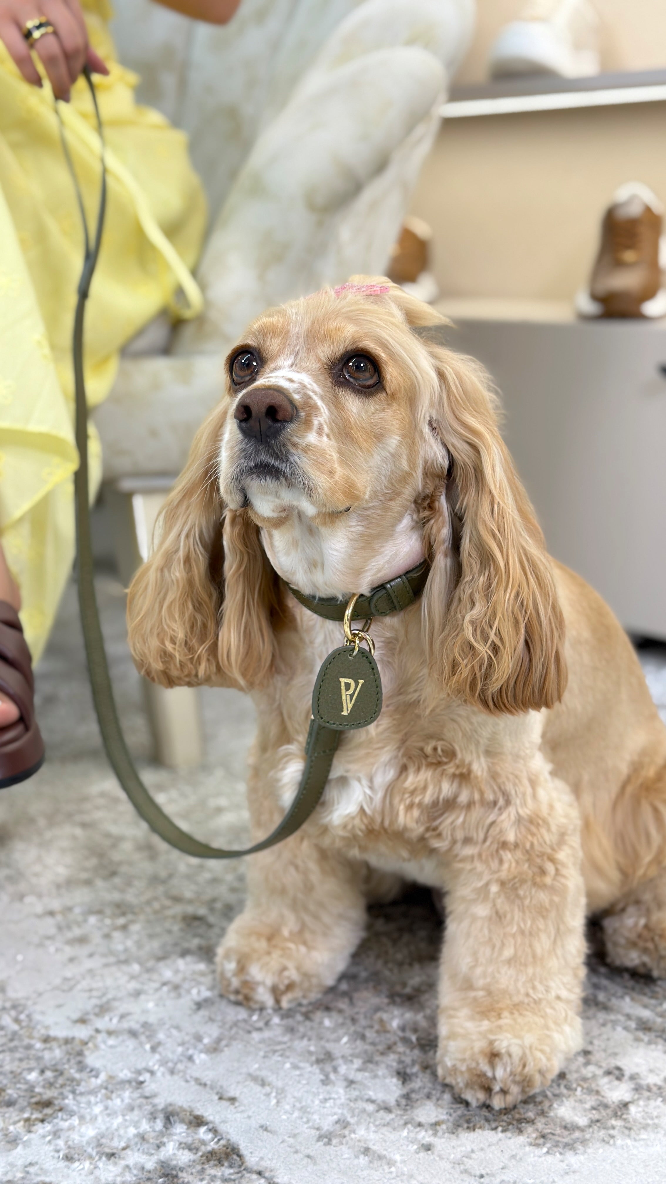 Correa en cuero verde oliva para perritos