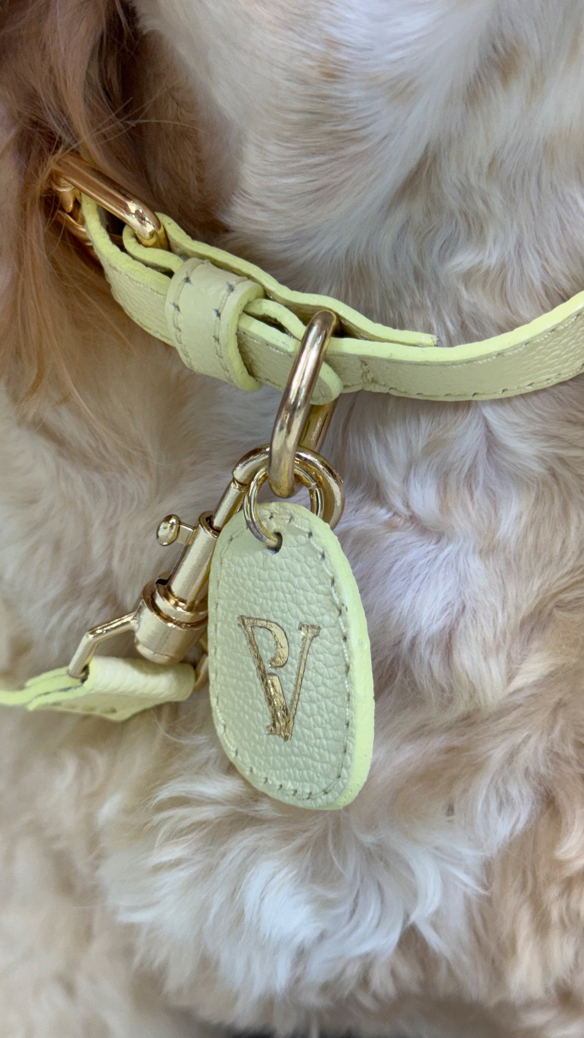 Correa en cuero amarillo para perritos