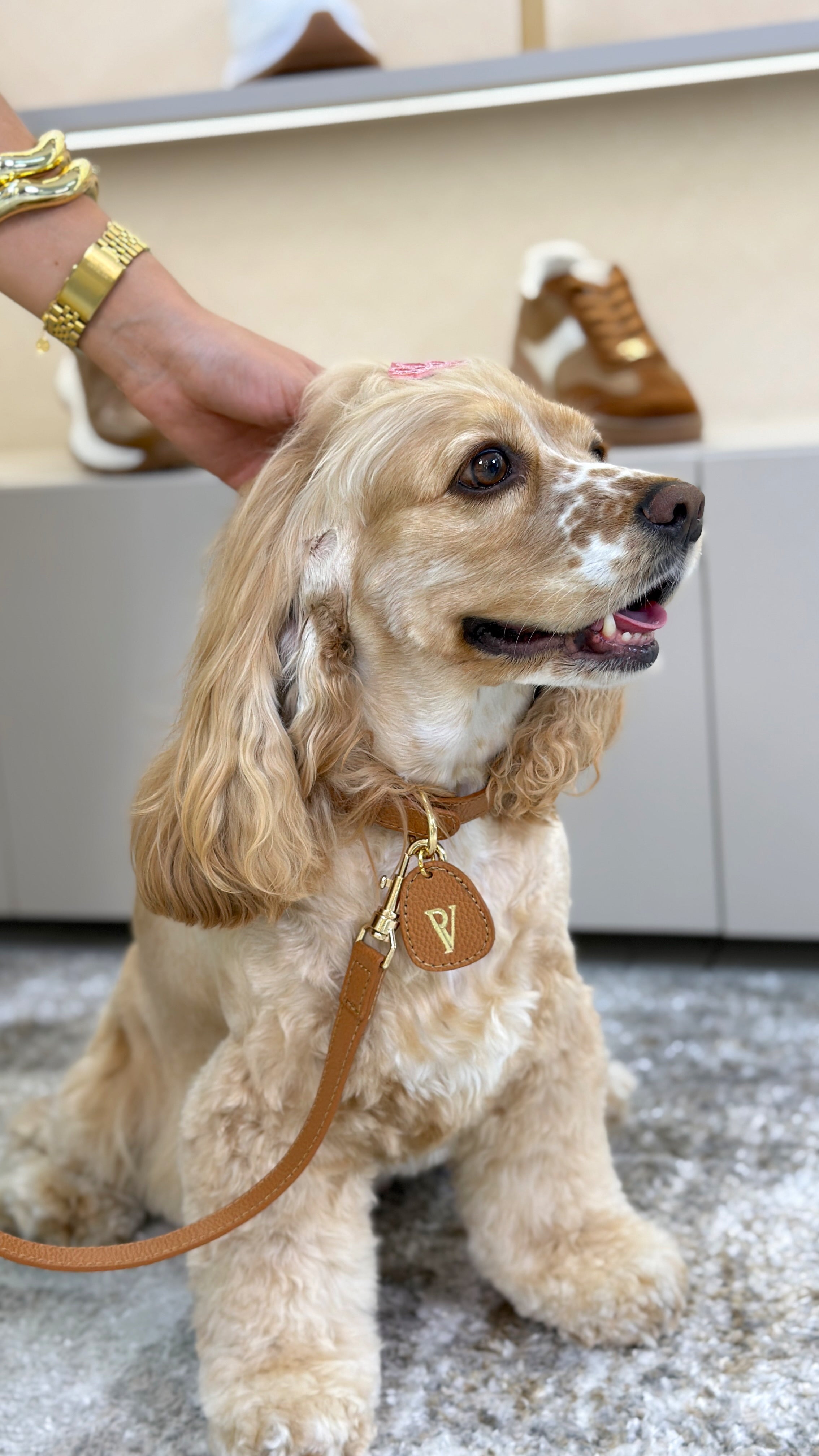 Correa en cuero miel para perritos