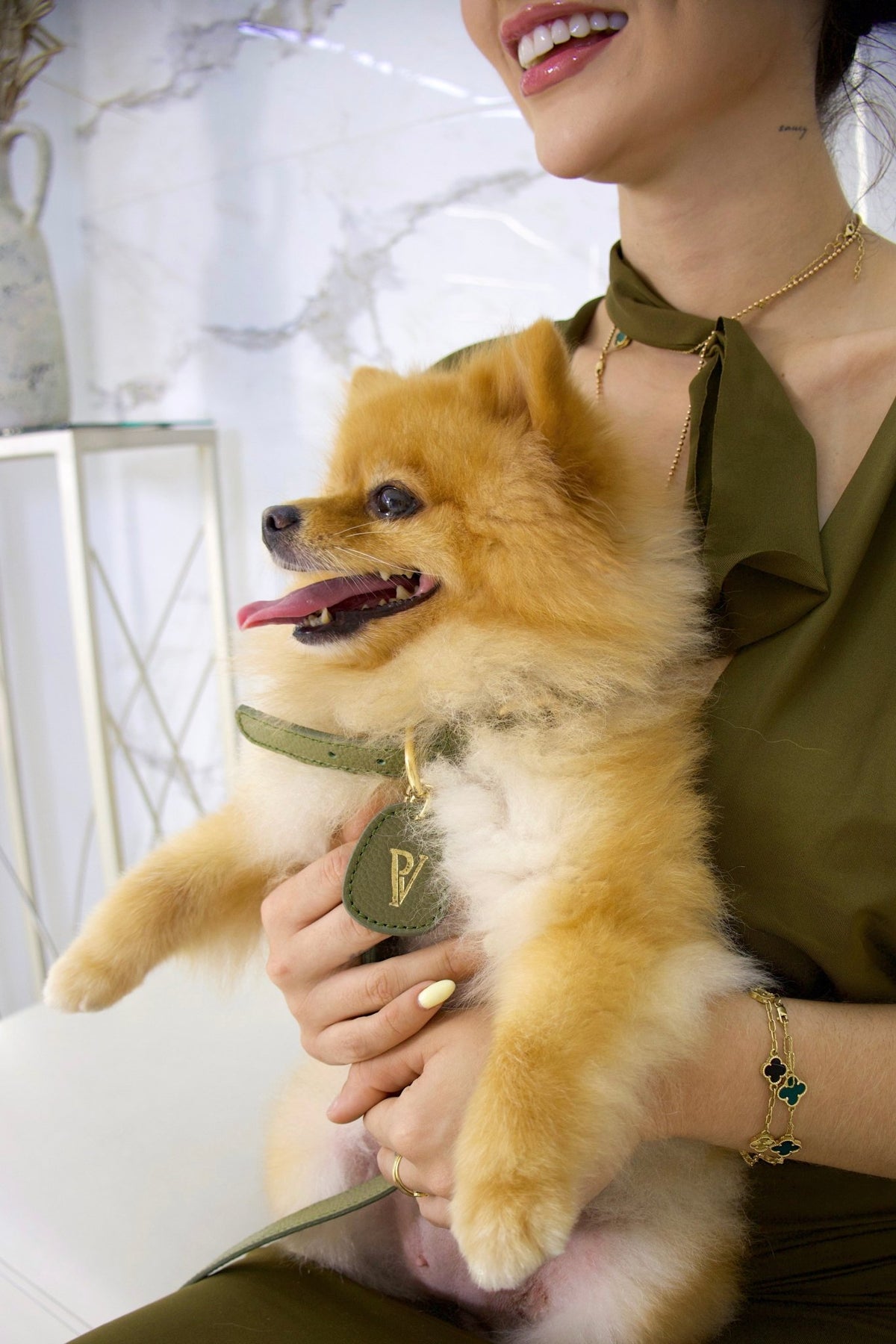 Correa en cuero verde oliva para perros - Paula Vélez - PAULA VELEZ